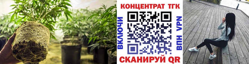 цена наркотик  Киржач  ТГК вейп с тгк 