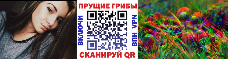Галлюциногенные грибы MAGIC MUSHROOMS  где купить наркоту  Киржач 